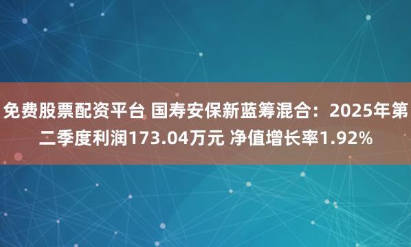 免费股票配资平台 国寿安保新蓝筹混合：2025年第二季度利润173.04万元 净值增长率1.92%