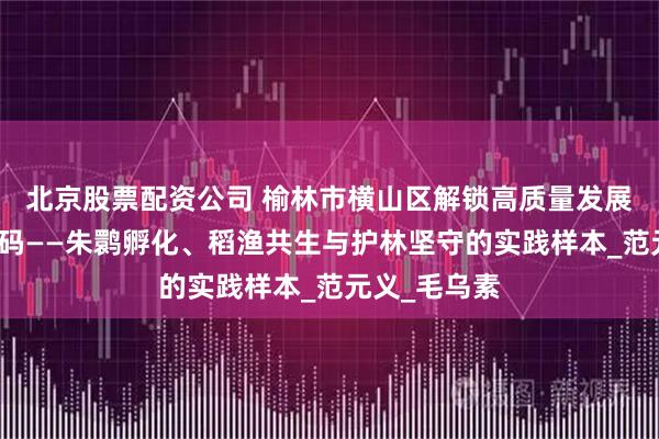 北京股票配资公司 榆林市横山区解锁高质量发展三重生态密码——朱鹮孵化、稻渔共生与护林坚守的实践样本_范元义_毛乌素